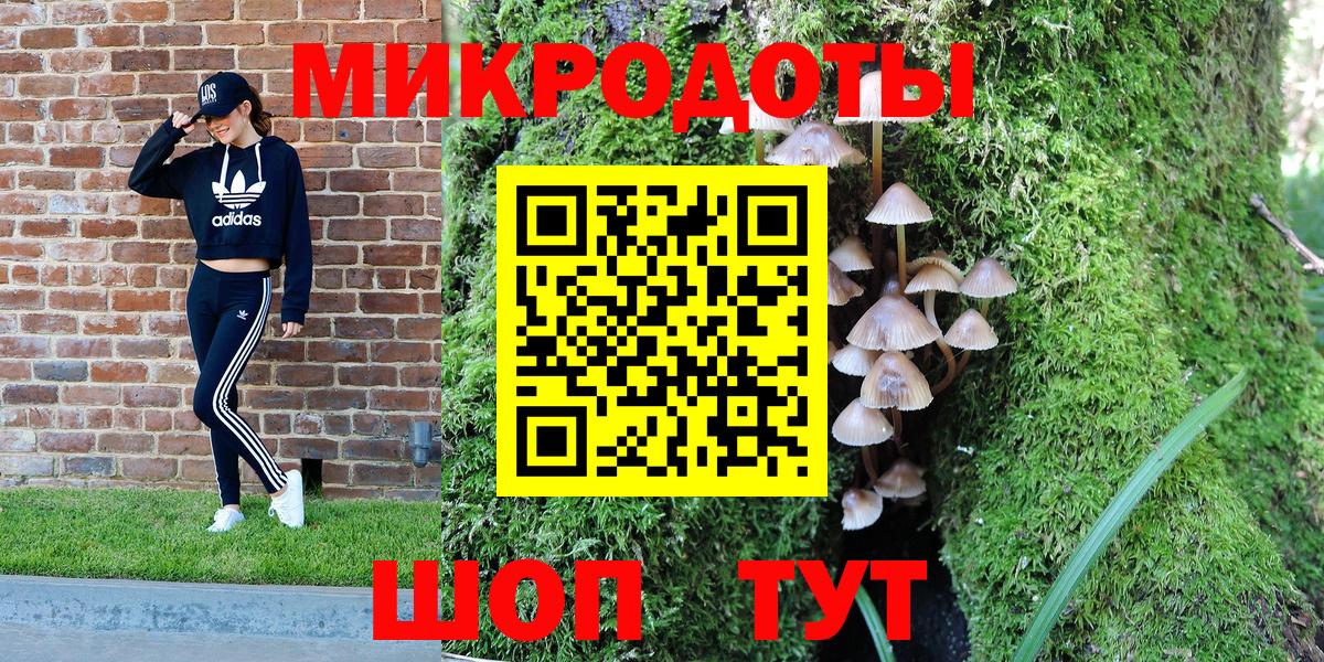 Галлюциногенные грибы MAGIC MUSHROOMS Вичуга