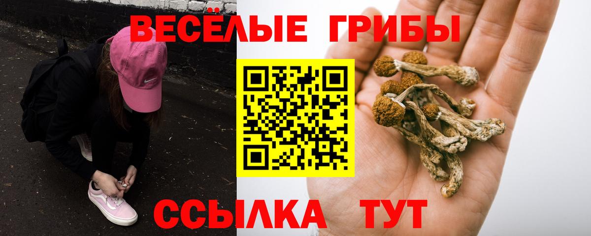 Вичуга  Галлюциногенные грибы GOLDEN TEACHER  Вход с VPN 